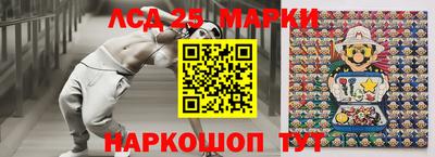 индика Новозыбков