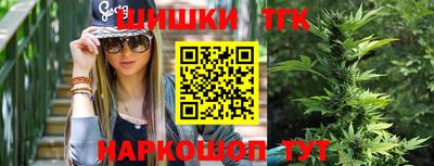 индика Новозыбков