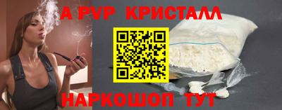 индика Новозыбков