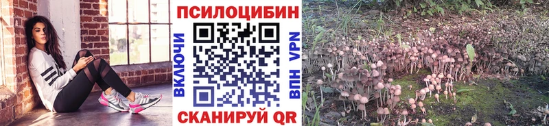 Галлюциногенные грибы MAGIC MUSHROOMS  продажа наркотиков  даркнет какой сайт  Старый Оскол 