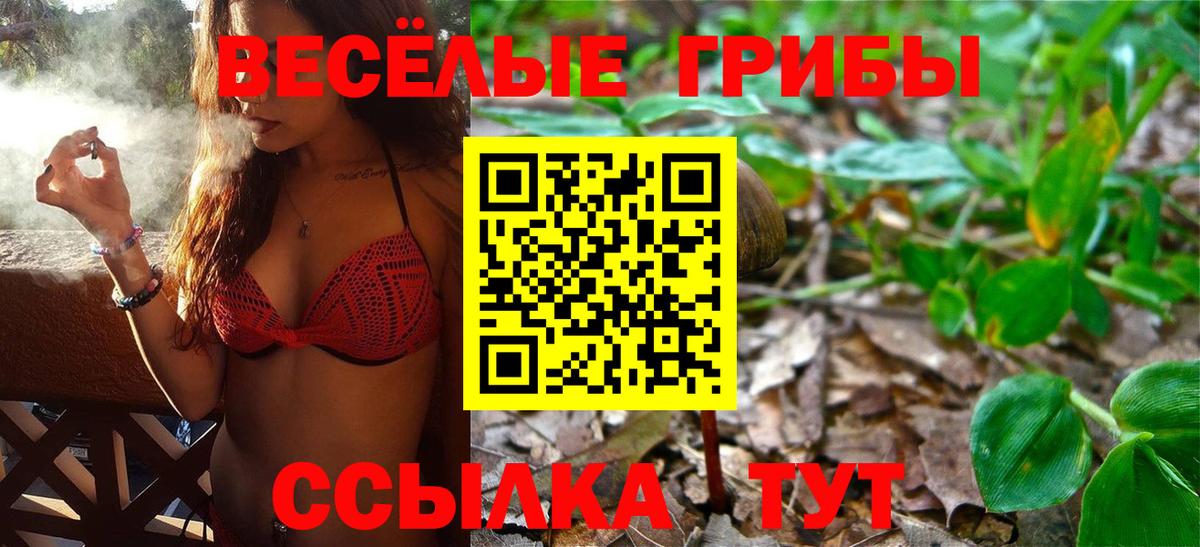 Галлюциногенные грибы Magic Shrooms Старый Оскол